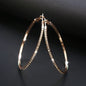 Hollow Circle Hoop Earrings and Studs