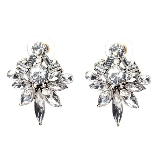 Precious Studs Statement Earrings
