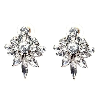 Precious Studs Statement Earrings