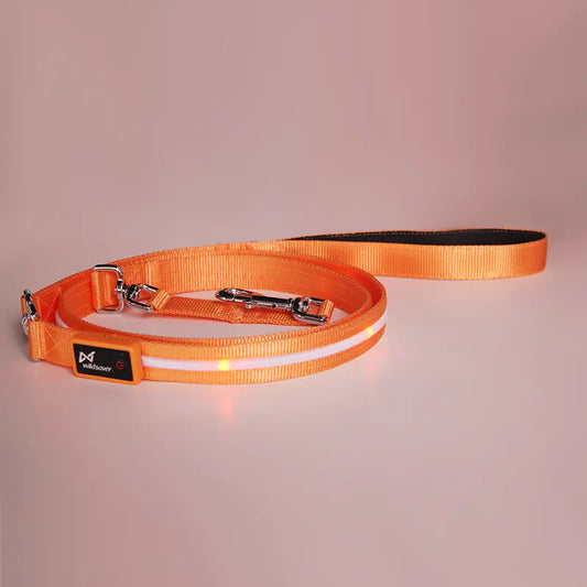 Luminous LED USB Charging Pet Leash