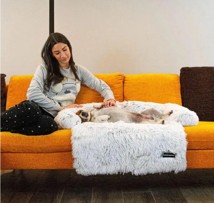 Pet Blanket and Rest Cushion for Sofa