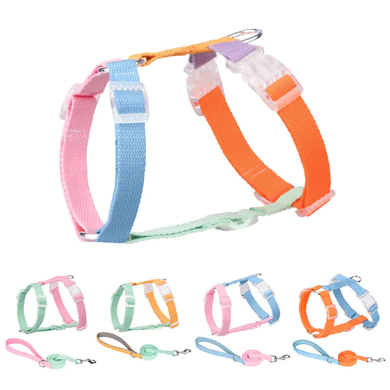 Color Matching Anti-Breakaway Pet Leash