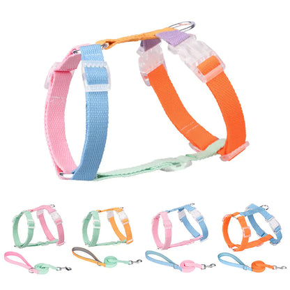 Color Matching Anti-Breakaway Pet Leash