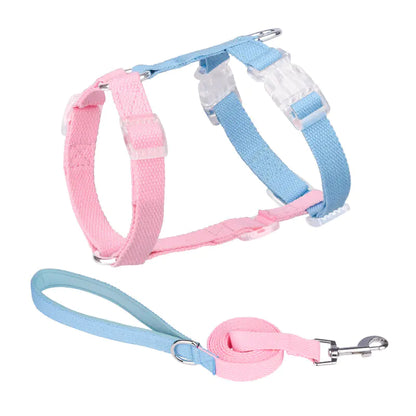 Color Matching Anti-Breakaway Pet Leash
