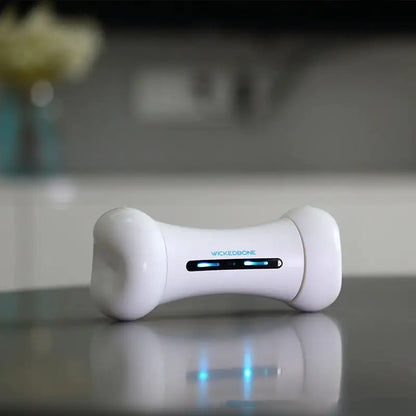 Smart Pet Toy - Crazy Bone Driven Board