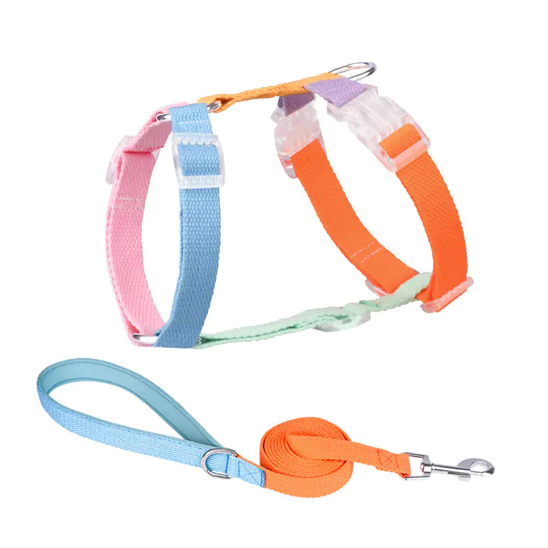 Color Matching Anti-Breakaway Pet Leash