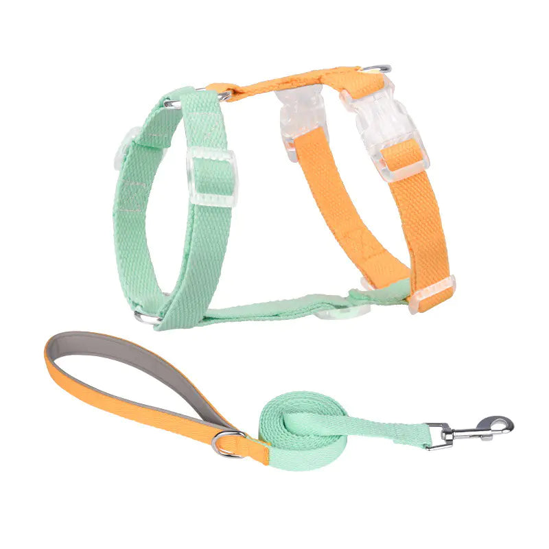 Color Matching Anti-Breakaway Pet Leash