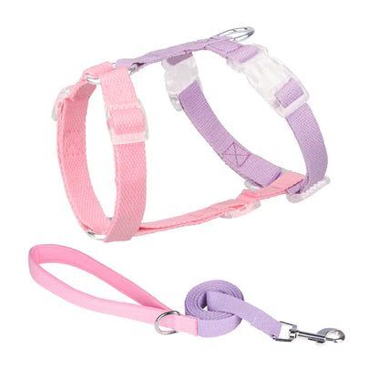 Color Matching Anti-Breakaway Pet Leash