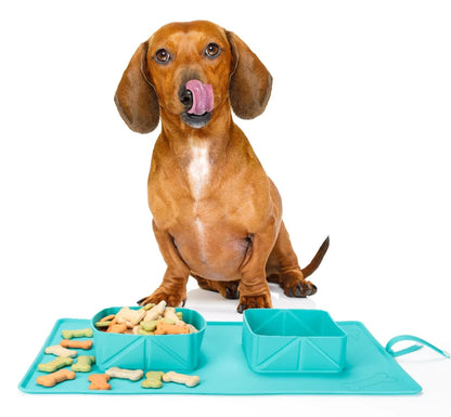 Silicone Folding Pet Bowl and Feeder